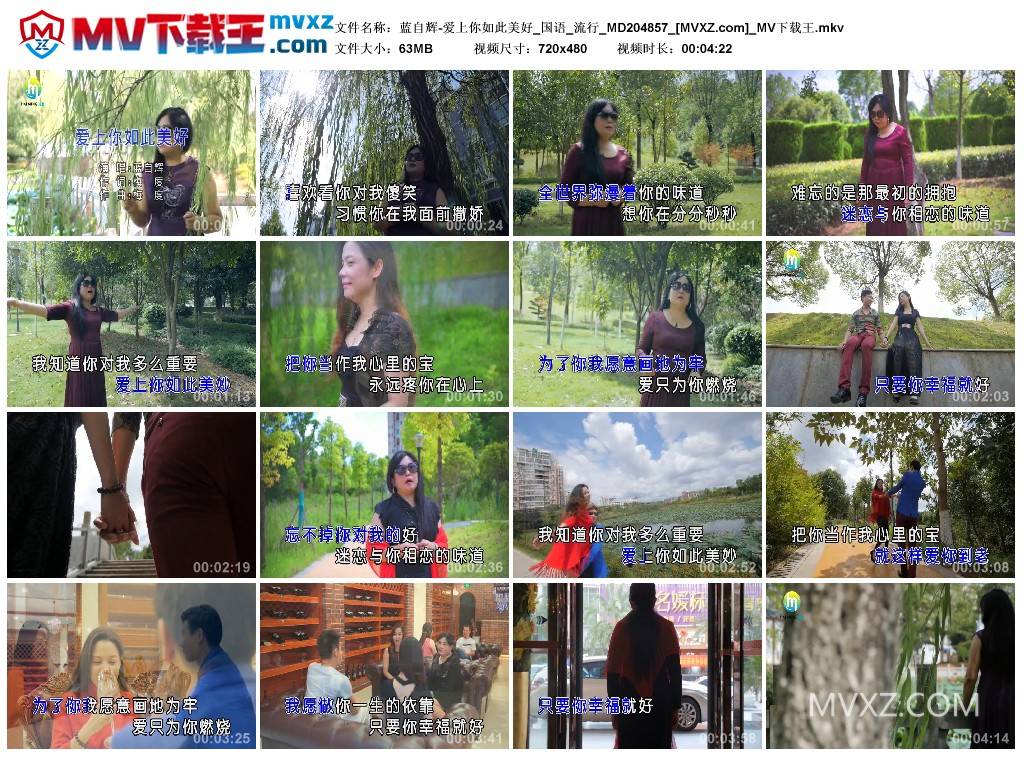 蓝自辉-爱上你如此美好_国语_流行_MD204857